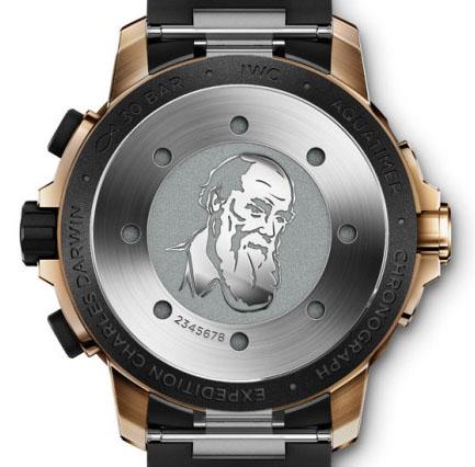 万国海洋时计“达尔文探险之旅”IW379503腕表