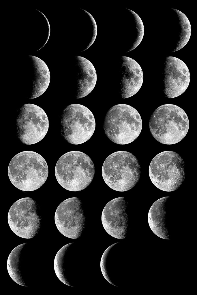 初一的月亮 月相图片